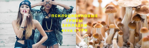 мет Гусь-Хрустальный
