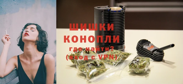 метадон Гусев