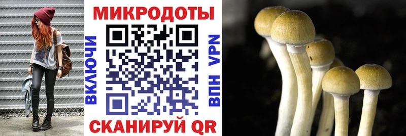 цена наркотик  Нижнекамск  Галлюциногенные грибы мицелий 